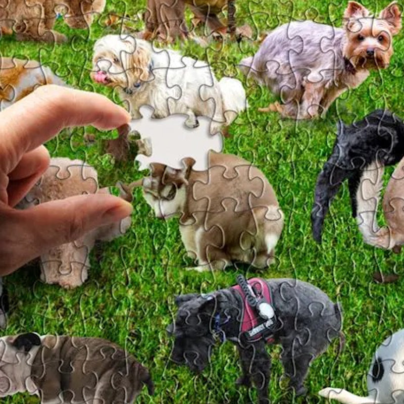 1000-teiliges Puzzle, 101 kackende Hunde Welpen